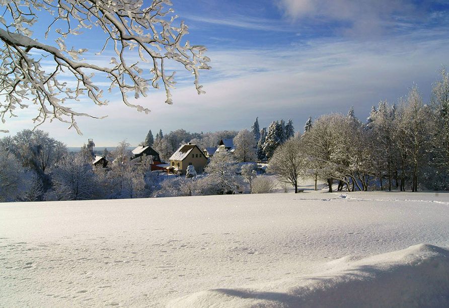 Auch im Winter ist es im Harz wunderschön!