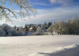Auch im Winter ist es im Harz wunderschön!