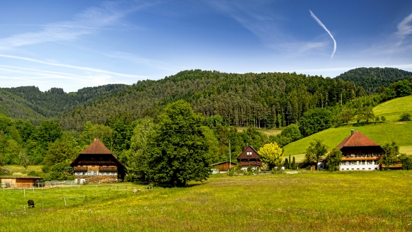 Herzlich willkommen in der malerischen Landschaft des Schwarzwalds!