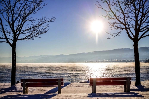 Willkommen am Bodensee!