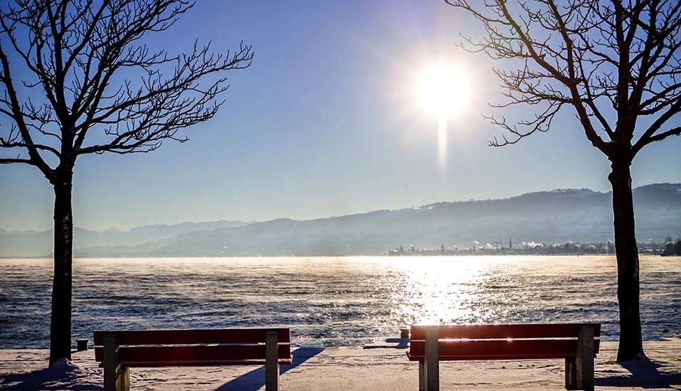 Willkommen am Bodensee!
