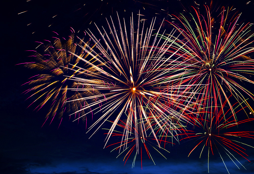Um das neue Jahr gebührend zu begrüßen, darf ein Feuerwerk natürlich nicht fehlen.