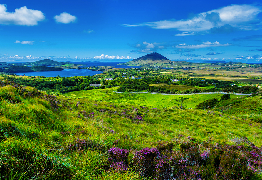Die Halbinsel Connemara begrüßt Sie mit einer beeindruckenden Naturlandschaft.