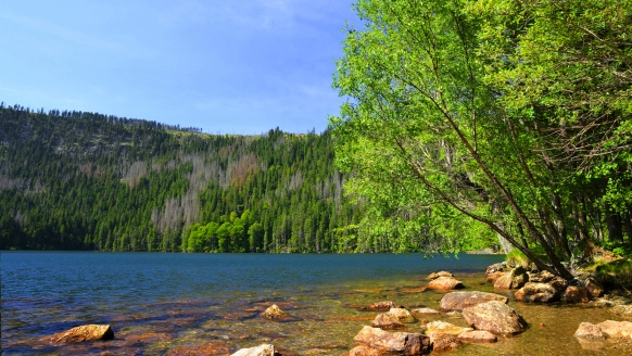 Hotel Srni im Böhmerwald, Panorama