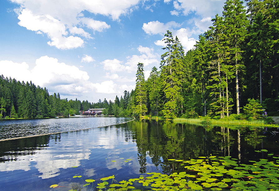 Ein tolles Ausflugsziel ist auch der Arbersee.