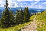 Erleben Sie den traumhaften Panoramablick bei einer Wanderung zum Gipfel des Nagelfluh.