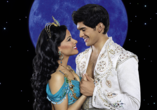 Aladdin und Jasmin in Disney ALADDIN