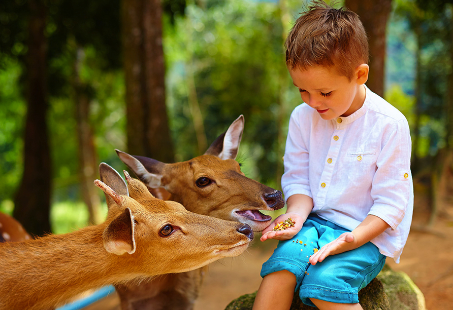 Tierfreude für die ganze Familie gibt es im Tierpark Hexentanzplatz.