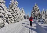 Erkunden Sie Ihre Urlaubsregion beim Skilanglauf.