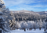 Wie wäre es mit einer Winterreise in den Harz?