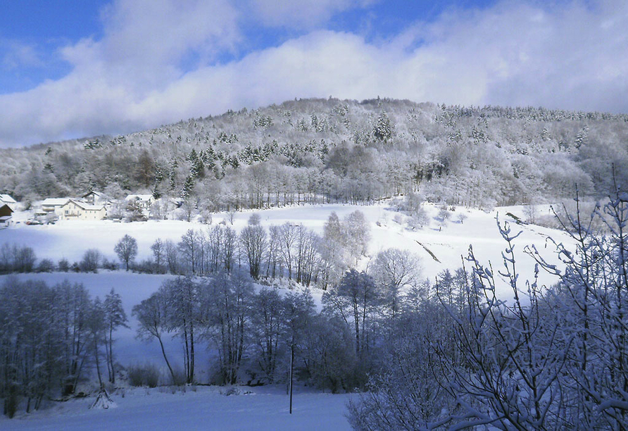Bewundern Sie die herrliche Winterlandschaft im Bayerischen Wald.