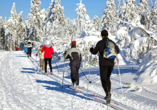 Im Winter locken Langlaufloipen zu einem Ausflug in den schneeglitzernden Wald.