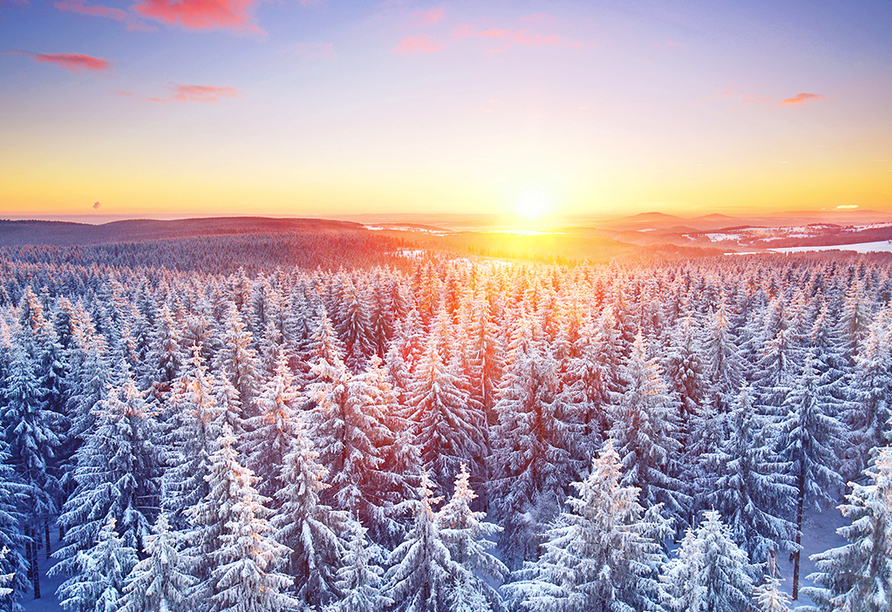 Auch oder gerade im Winter ist der Thüringer Wald bei Urlaubern sehr beliebt.