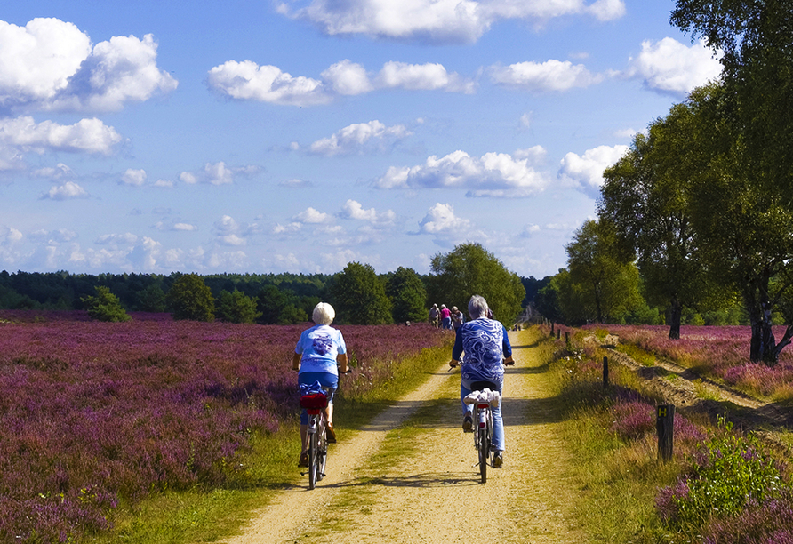 Fahren Sie mit dem Rad durch die Lüneburger Heide und erkunden Sie die malerische Umgebung.
