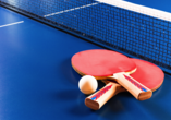 Tischtennis im CAREA Ferien- & Reitsport-Hotel Brunnenhof