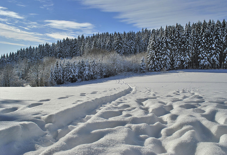 Herrliche Winterlandschaft im Bayerischen Wald