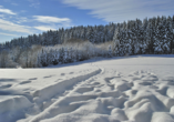 Herrliche Winterlandschaft im Bayerischen Wald