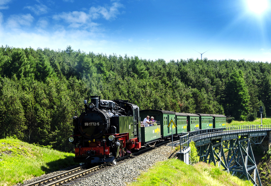 Unternehmen Sie eine Fahrt mit der Fichtelbergbahn im Erzgebirge.