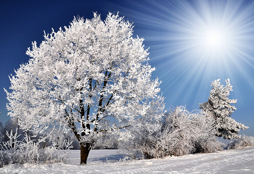 Das ist Winter-Romantik pur!