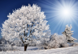 Das ist Winter-Romantik pur!