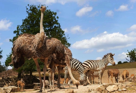 Freuen Sie sich auf die ZOOM Erlebniswelt!