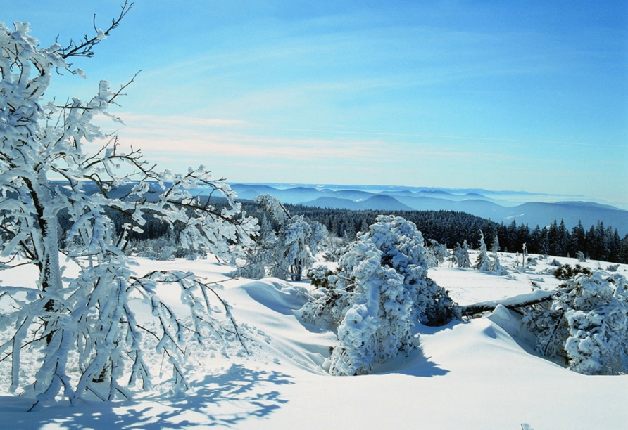 Die wunderschöne Winterlandschaft im Schwarzwald erwartet Sie – jetzt buchen!