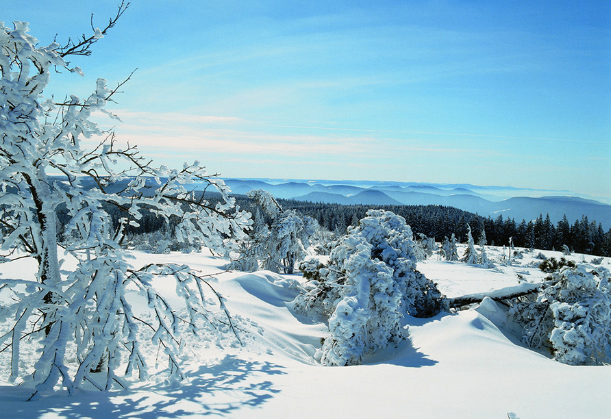 Wunderschöne Winterlandschaft im Schwarzwald