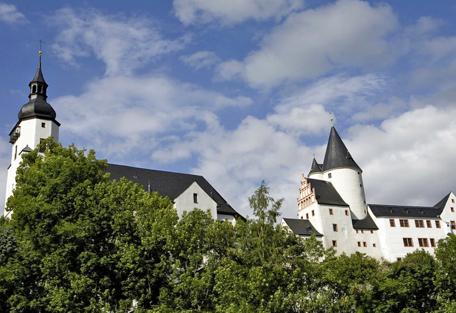 Das Schloss Schwarzenberg mit seiner Ausstellungen zur Schloss- und Stadtgeschichte, Bergbau, Verarbeitung von Eisen und Zinn ist sehenswert.