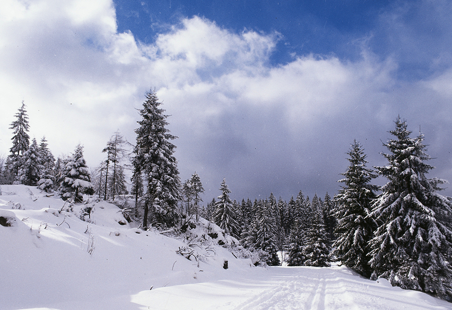 Auch im Winter ist das Erzgebirge eine Reise wert.