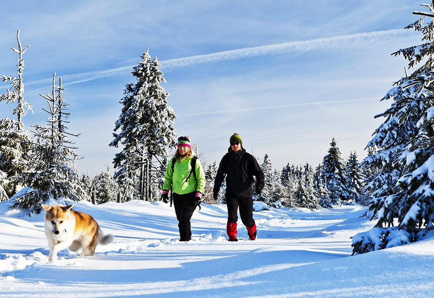 Genießen Sie im Winter die wunderschön verschneite Landschaft im Harz.
