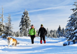 Genießen Sie im Winter die wunderschön verschneite Landschaft im Harz.