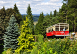 Die Bergbahn im Thüringer Wald ist ein beliebtes Ausflugsziel.