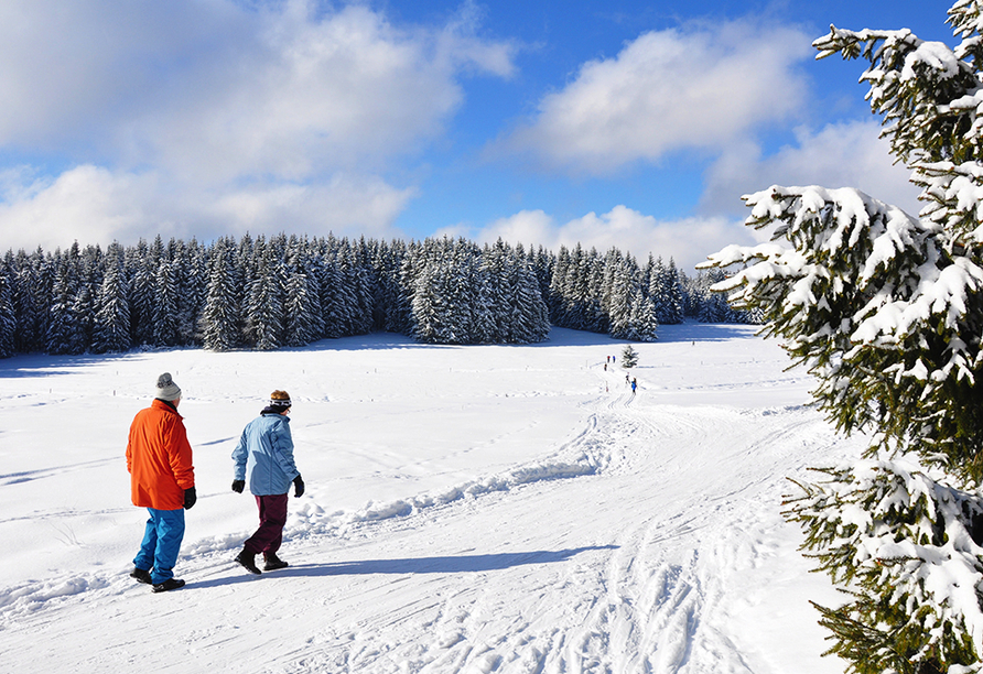 Ein Spaziergang durch den Thüringer Wald ist auch bei Schnee unvergesslich.