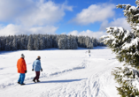 Ein Spaziergang durch den Thüringer Wald ist auch bei Schnee unvergesslich.