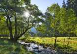 Genießen Sie die tolle Landschaft um Willingen.