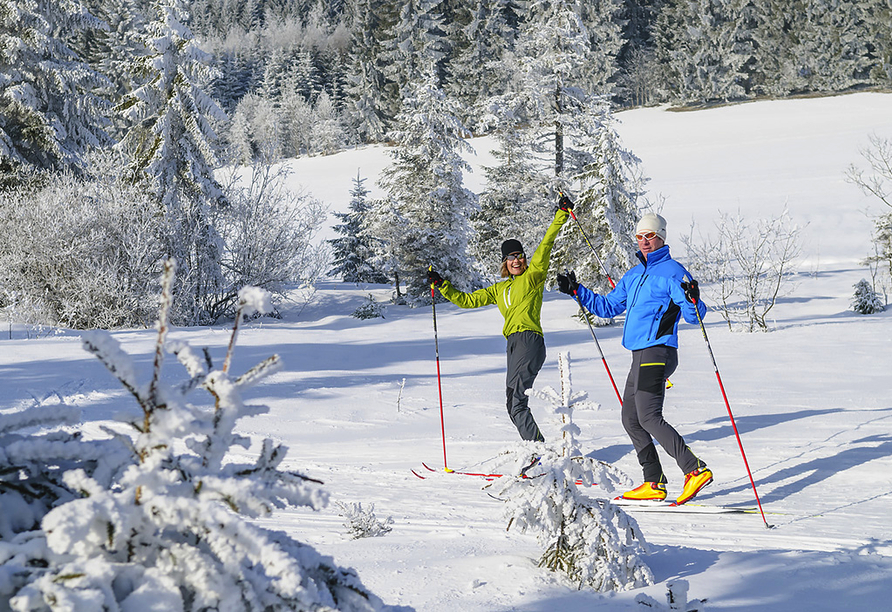 Freuen Sie sich auf den Schwarzwald im Schnee.