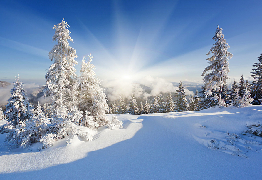 Ski-Langlauf und -Abfahrt, gemütliche Winterspaziergänge oder zünftige Schneewanderungen - der Winter im Harz hat viel zu bieten.