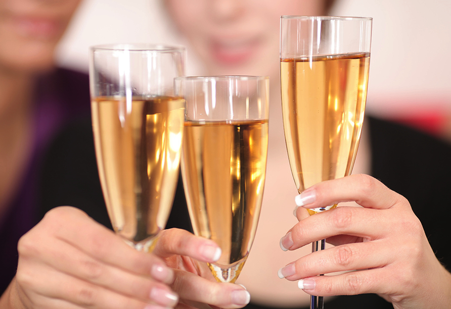 Freuen Sie sich auf eine Silvesterfeier mit Musik, Spaß und Tanz!