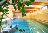 Schwimmen Sie ein paar Bahnen im Hallenbad des Hotels Jantar Spa.