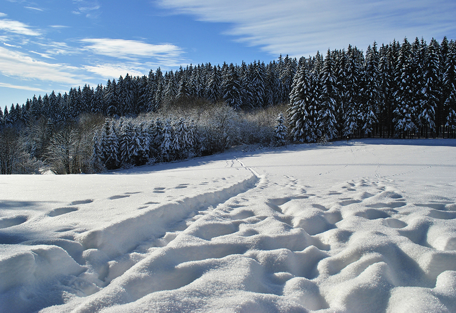 Freuen Sie sich auf den Winter im Bayerischen Wald.