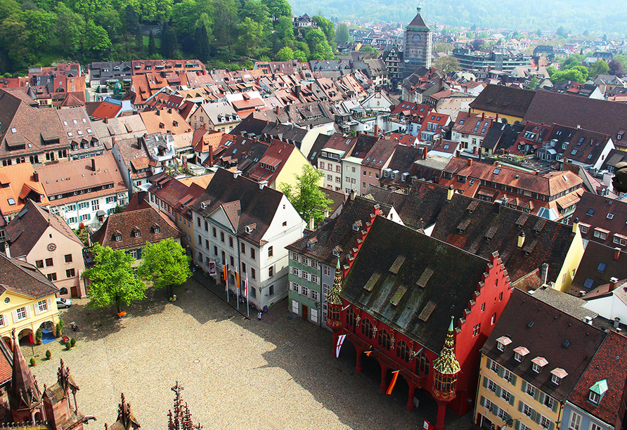 Besuchen Sie Freiburg im Breisgau.