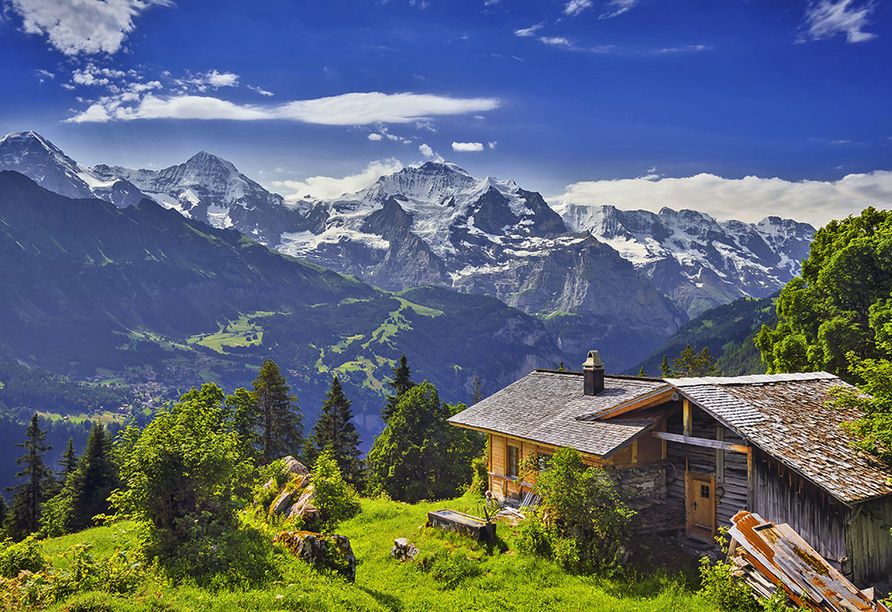 Bei ausgiebigen Wanderungen bieten Sich Ihnen atemberaubende Ausblicke auf die Alpen.
