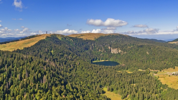 Der höchste Gipfel des Schwarzwaldes: der Feldberg 