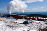 Unternehmen Sie doch eine Fahrt mit der bekannten Schmalspurbahn im Winterpanorama.