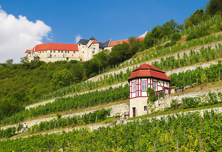 Besuchen Sie das Winzerstädtchen Freyburg mit seinen zahlreichen Weinhängen.