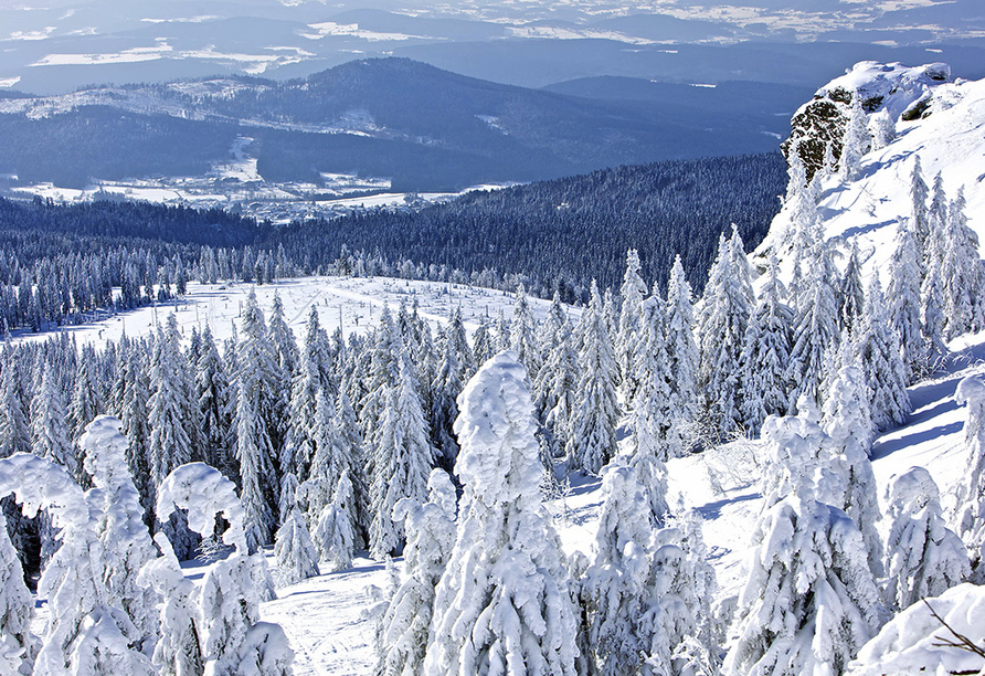 Das Skigebiet am Großen Arber wird Sie begeistern.