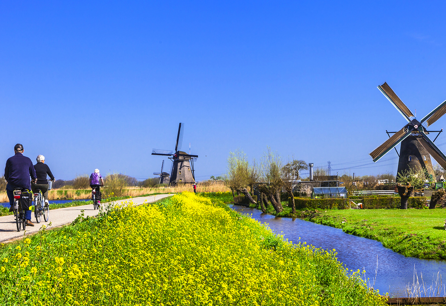 Entdecken Sie die schönsten Höhepunkte in Holland.