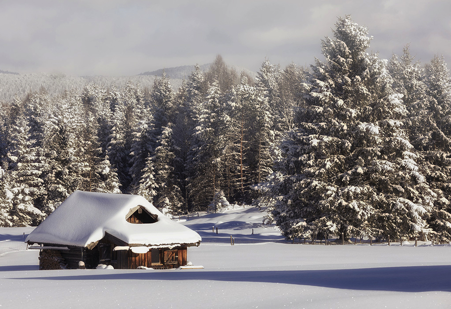 In der kalten Jahreszeit verzaubert Sie die schöne Winterlandschaft bei Mittenwald.