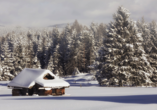 In der kalten Jahreszeit verzaubert Sie die schöne Winterlandschaft bei Mittenwald.