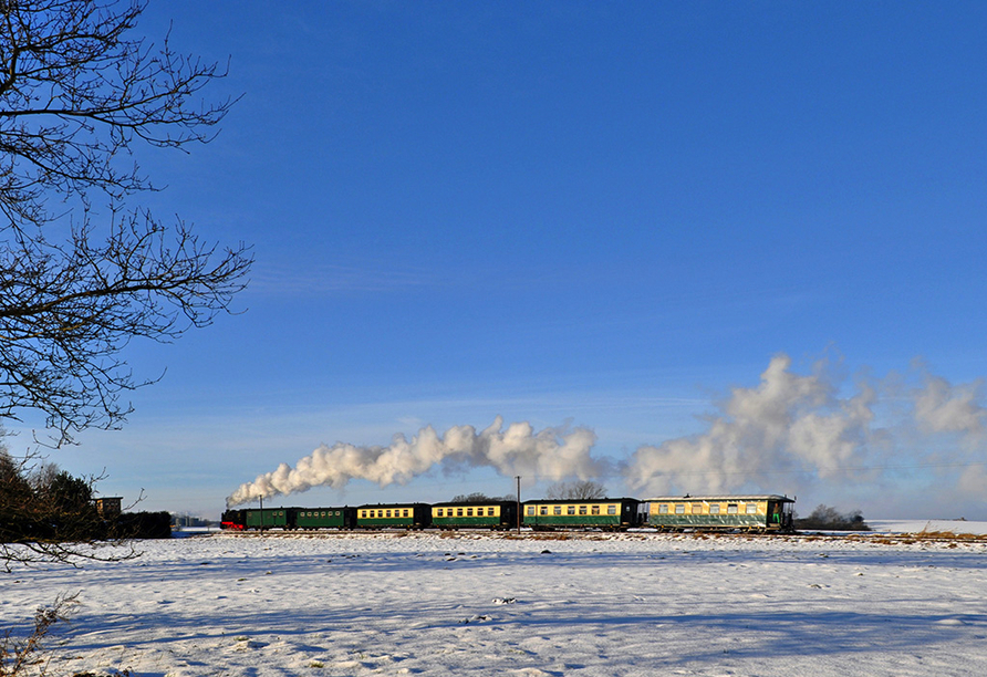 Die Rügensche Bäderbahn 